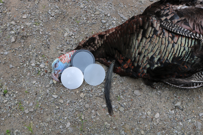 The Ultimate Turkey Hunting System