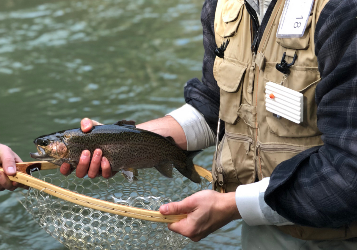 2018 PA Trout Opener - A Statewide Tradition – Cro-Mag Outdoors, LLC