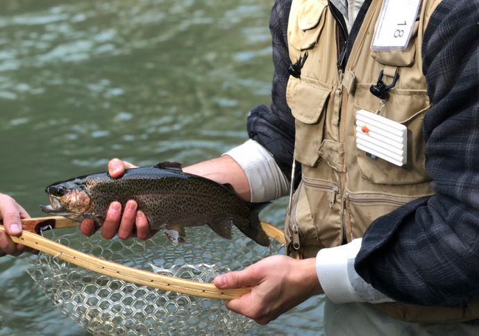 2018 PA Trout Opener - A Statewide Tradition